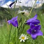 Rum i privatbostad Haus Seebach *