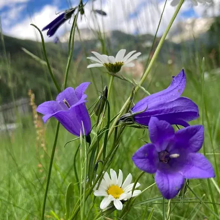 Rum i privatbostad Haus Seebach *