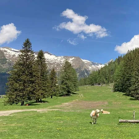 Homestay szállás Haus Seebach *