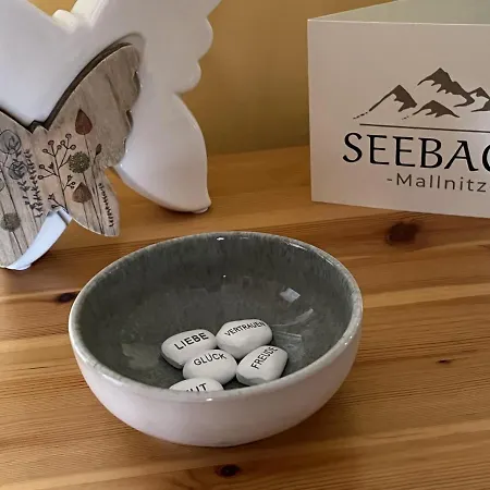 Haus Seebach Mallnitz