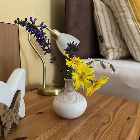 Homestay szállás Haus Seebach Mallnitz