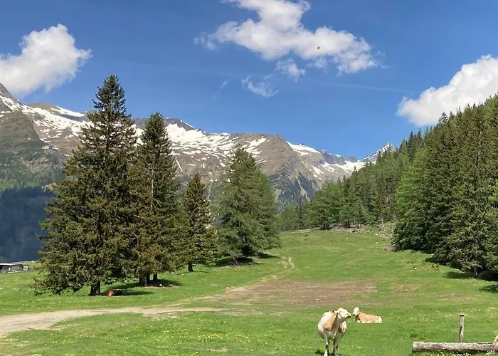 Homestay Haus Seebach *