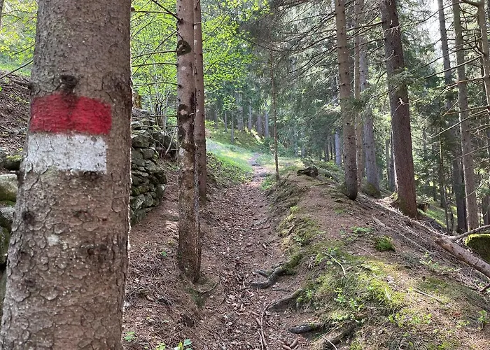 Haus Seebach Homestay *